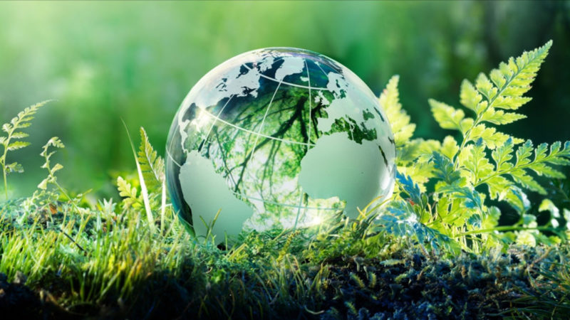 Экологическая беседа «Здоровая планета – здоровый человек»
