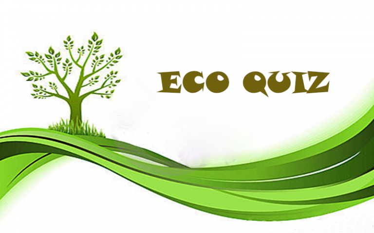 Игровой квиз «Детективная экология»