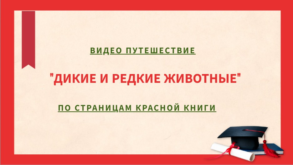 Видеопутешествие по страницам Красной книги «Дикие и редкие животные»