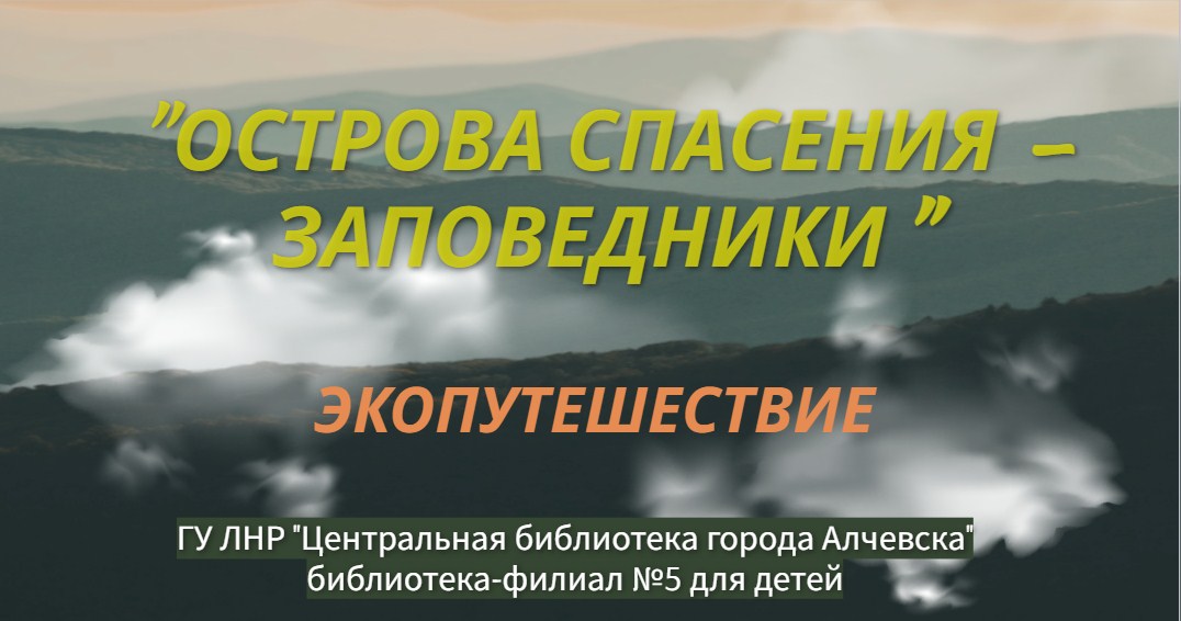 Какого плана спасения с острова не было у игоря