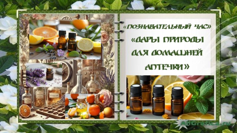 Познавательный час «Дары природы в домашней аптечке»