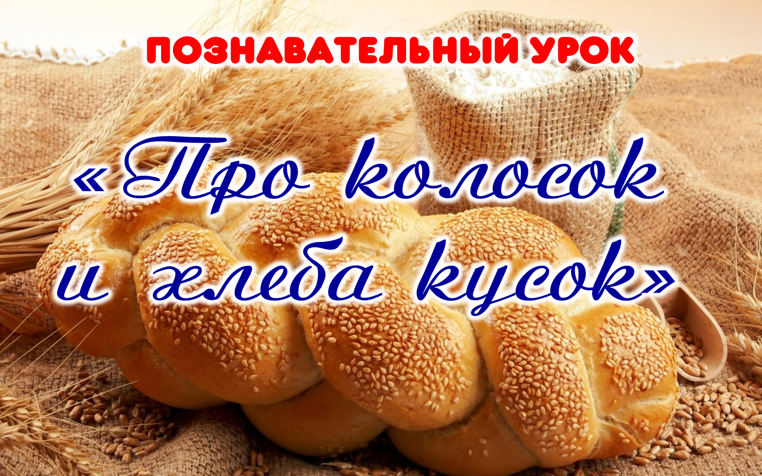 Познавательный урок «Про колосок и хлеба кусок»