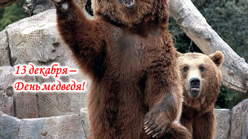 Информационный пост «День медведя на Руси»