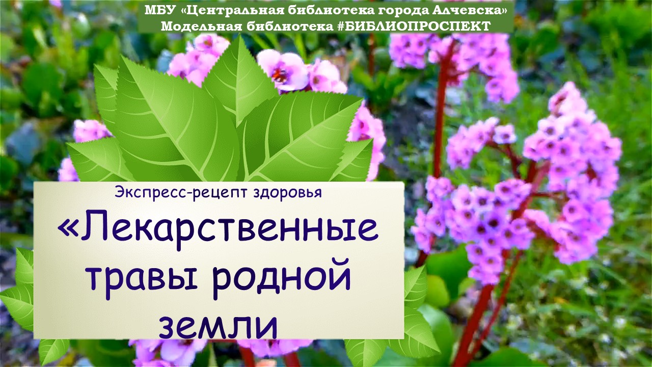 Экспресс-рецепт здоровья «Лекарственные травы родной земли»