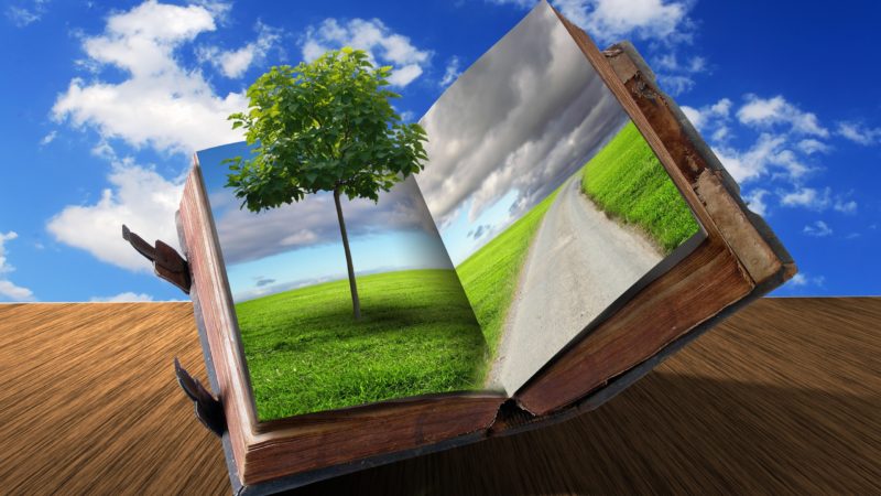 Литературная ЭКО-информация  «Книги, которые учат жить в согласии с природой»